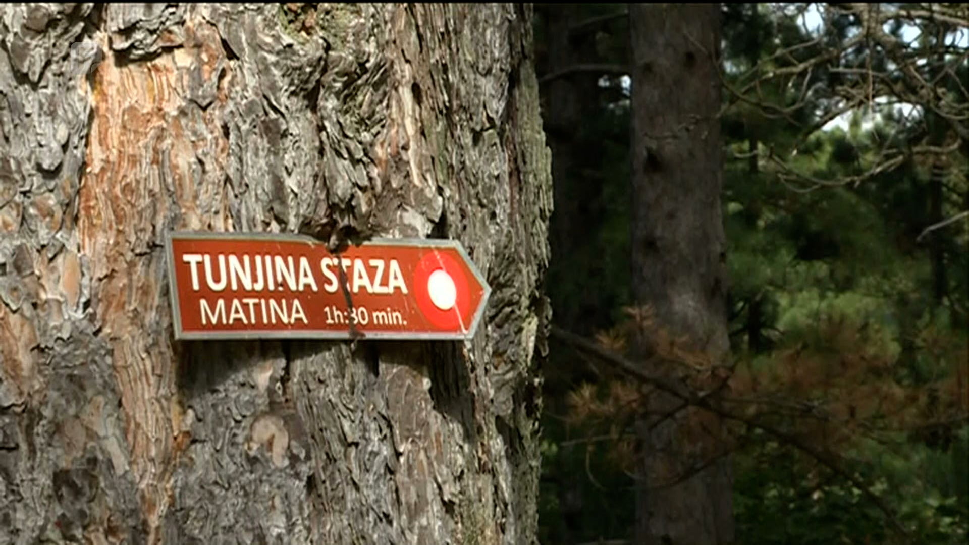 Naučno-istraživački biološki kamp na lokalitetu Matinski vis